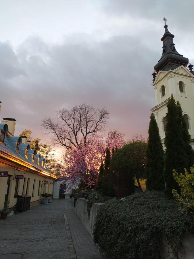 Guest House "Arkhistratyg" リヴィウ エクステリア 写真