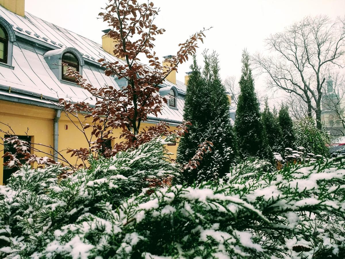 Guest House "Arkhistratyg" リヴィウ エクステリア 写真
